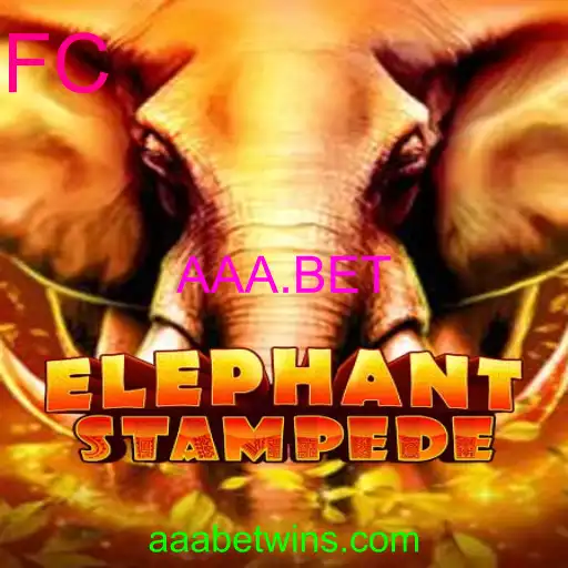ElephantStampede